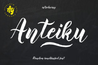 Anteiku Font: Elevating Web Design with Textured Personality