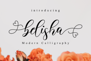 Belisha Font: Elevate Your Campaign Visuals with Modern Script