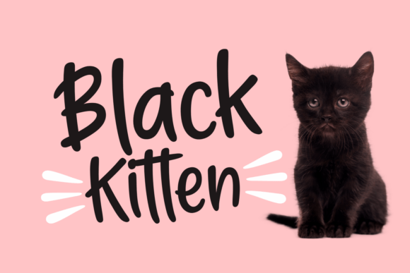 Black Kitten: A Modern Handwritten Font for Editorial Design