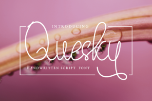 Quesky: A Handwritten Script Font for Modern Web Design