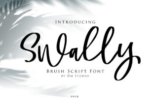 Swally: A Designer’s Honest Take on Script Amp’s Latest Release